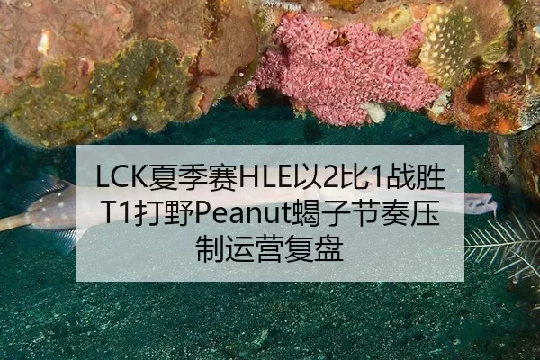 LCK夏季赛HLE以2比1战胜T1打野Peanut蝎子节奏压制运营复盘
