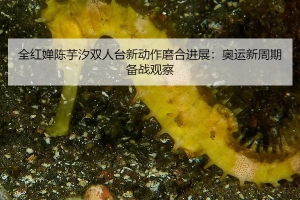 quan-hong-chan-chen-yu-xi-shuang-ren-tai-xin-dong-zuo-mo-he-jin-zhan-ao-yun-xin-zhou-qi-bei-zhan-guan-cha-3-529.jpg